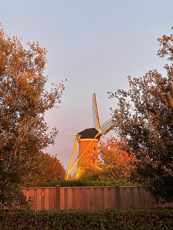 Gastenverblijf Bij De Buuren Dirksland Экстерьер фото